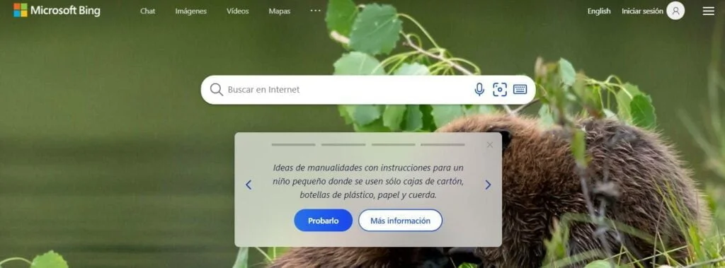 Usar Bing