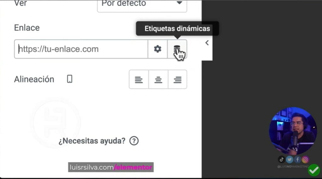 Etiquetas dinámicas Elementor