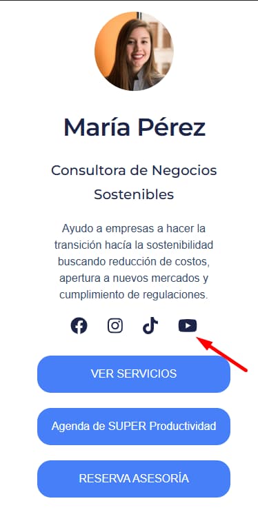 Perfiles de redes sociales