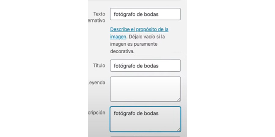 Palabra clave en los metadatos