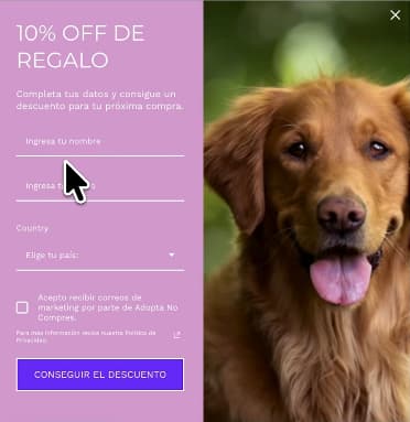Ejemplo de formulario para captar clientes potenciales