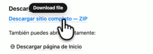 ChatGPT gratis ofrece descargar una carpeta comprimida (.zip)
